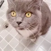 静心中明明