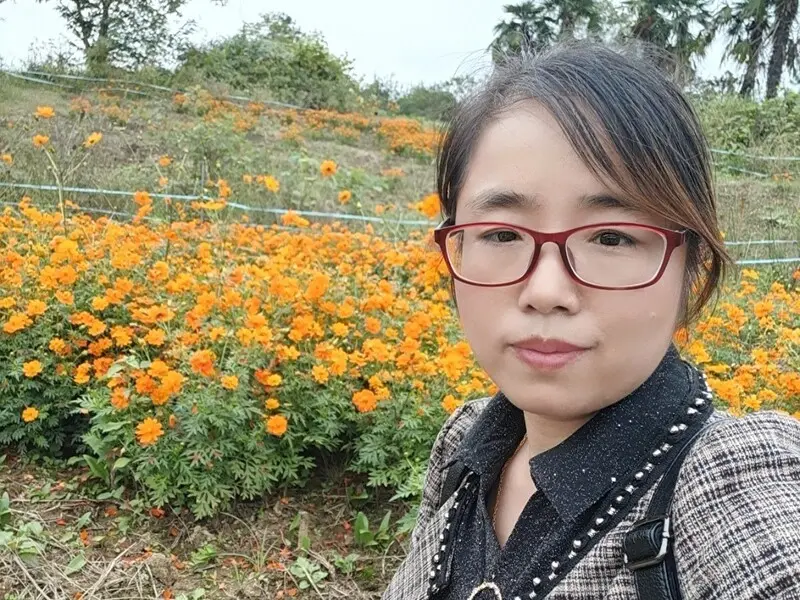 记忆的风帆，扬帆远航的主播海报