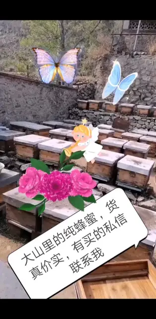 纯蜂蜜，货真价实，不纯不要💰