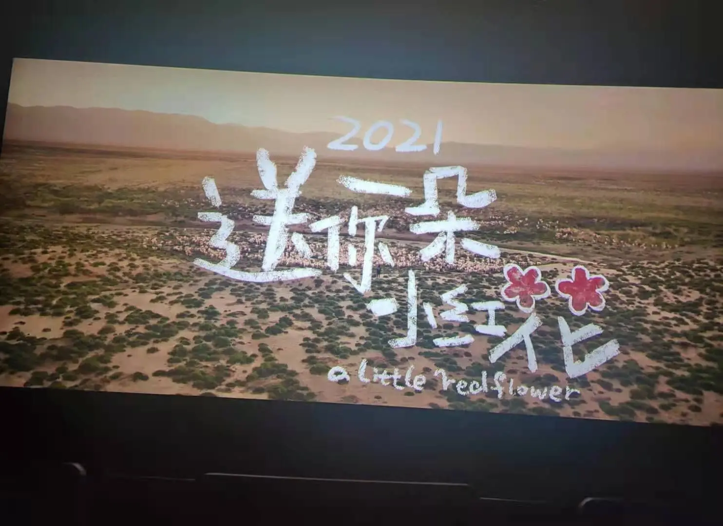 ✨玻璃蓝🍓的主播照片