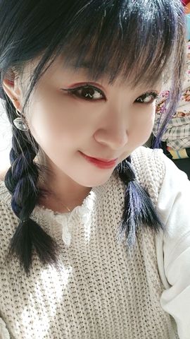 一只雁~的图片