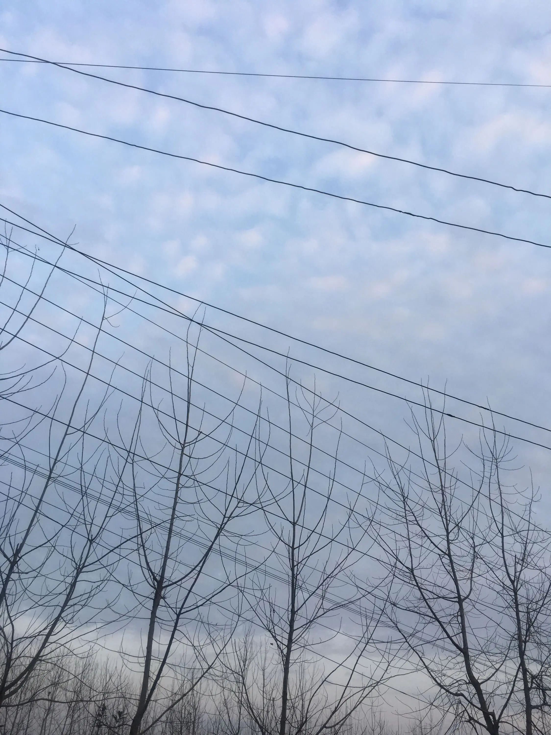 恋爱中的恋人的主播照片