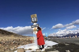 2肥。的图片
