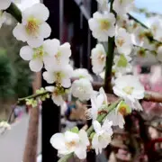 ^_^落日余晖