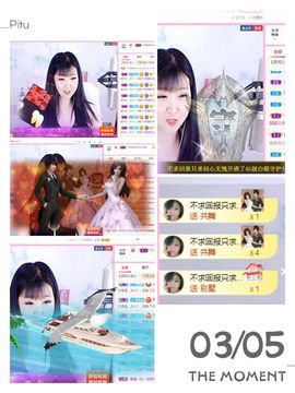 一只雁~的图片