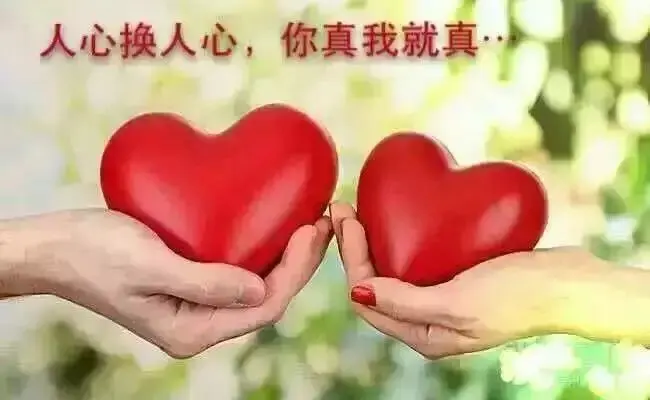 ☆鴻蒙火龍☆的图片