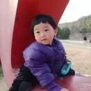 九齿钉耙猪八戒