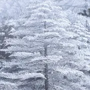 路遥马急的人间