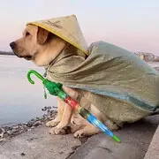 酷炫..学博