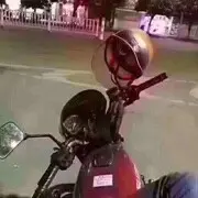 墨菲特提莫虎