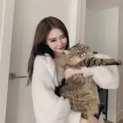 AA漠然AA