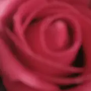 *宁静致远，，，
