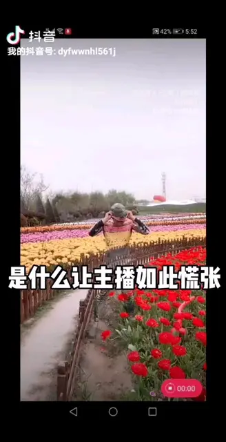 不看以为是真的
