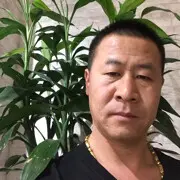 城中成