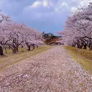 彻底退网，别空刷谢谢
