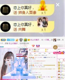 一只雁~的图片