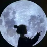 皮皮侠🤓