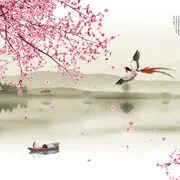 梦哥✰
