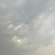 看鹅大.
