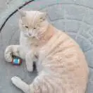 今天的事