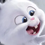 陈先生✔