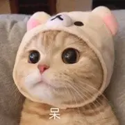 齐☜齐齐齐齐齐
