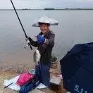 安民p1