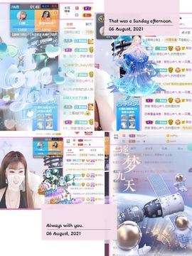 一只雁~的图片