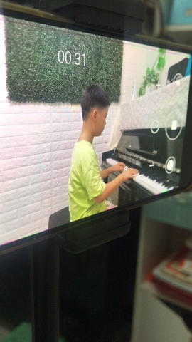 🌻小七（安静唱歌）的图片