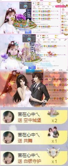 一只雁~的图片