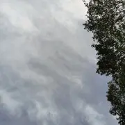 新星⭐安安