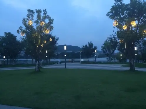 双十一我不在的主播照片