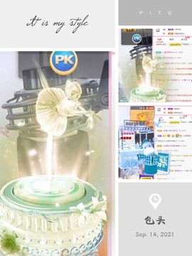 一只雁~的图片
