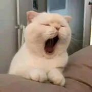 落落满城