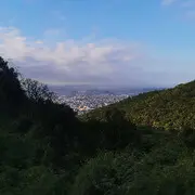 送佛归殿