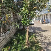 扬扬得意11