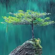 -沿途的风景边走边看
