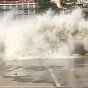 🦈涛声依旧