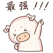 貌美的如花