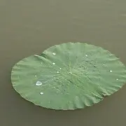 午夜.寂寞