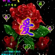 醉里挑灯耍贱～老7