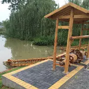 R榕树下的守候