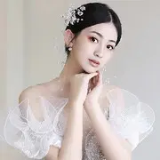 人生若只如【初见】