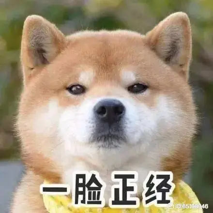 .▪.主播图片