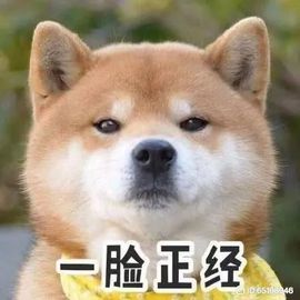 .▪.的图片