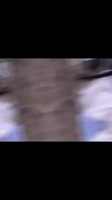 新年快乐！吉祥如意！
