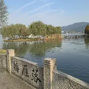 ☆ヾ楚楚