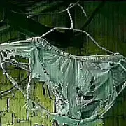 游客361