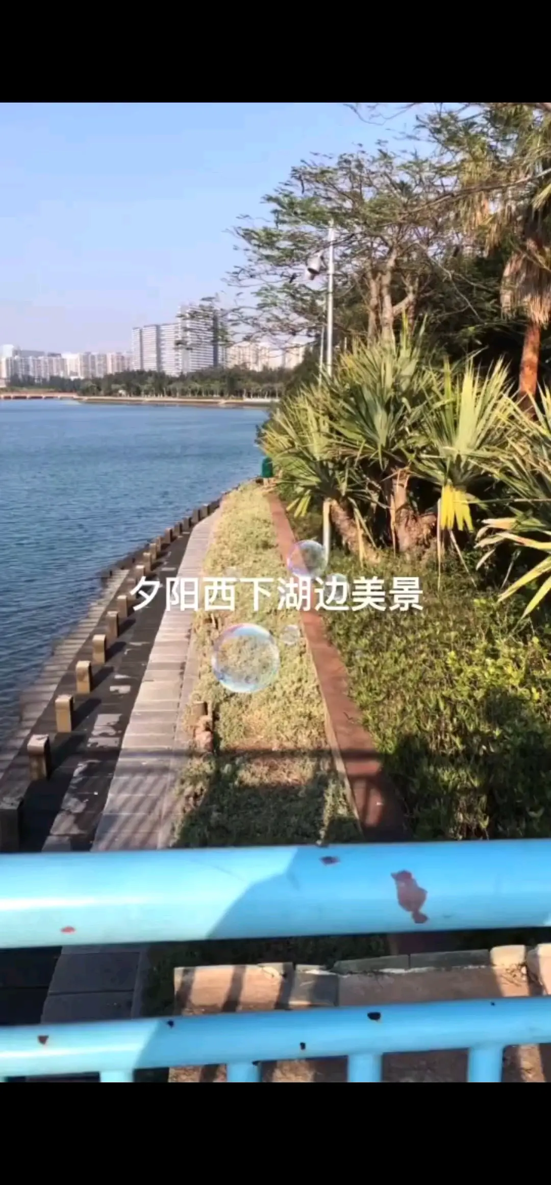 好久没出来透透气了，