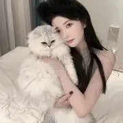 安安暂休